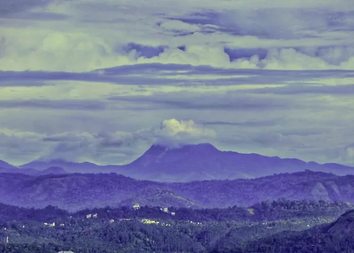 Wild Mist Homestay