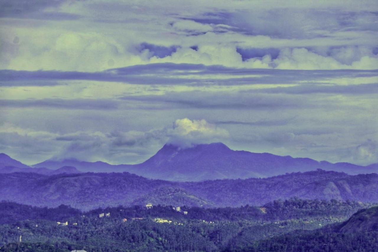 Wild Mist * Munnar